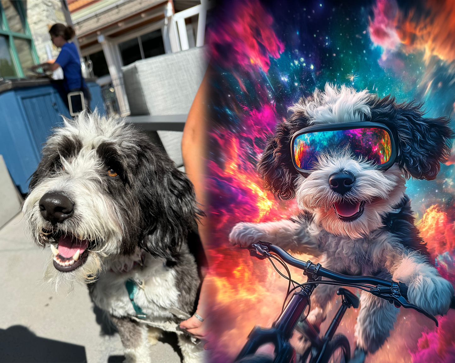 Custom Pet Portrait MTB Shirt